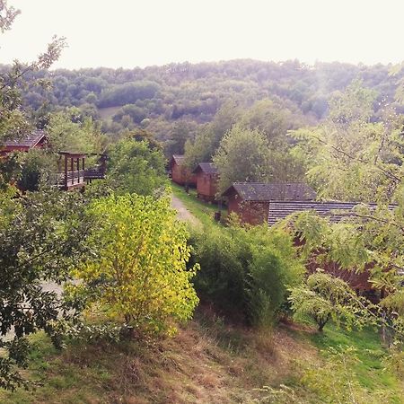 La Ferme Du Duzou Villa Saint-Cyprien-sur-Dourdou Eksteriør bilde