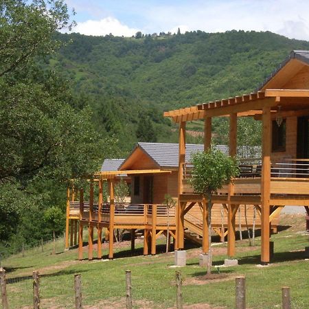 La Ferme Du Duzou Villa Saint-Cyprien-sur-Dourdou Eksteriør bilde